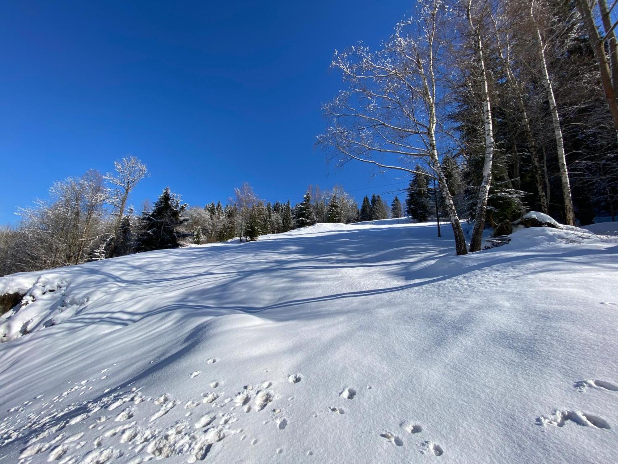 Rakosarna Suites & Apartments Špindlerŭv Mlýn Eksteriør bilde